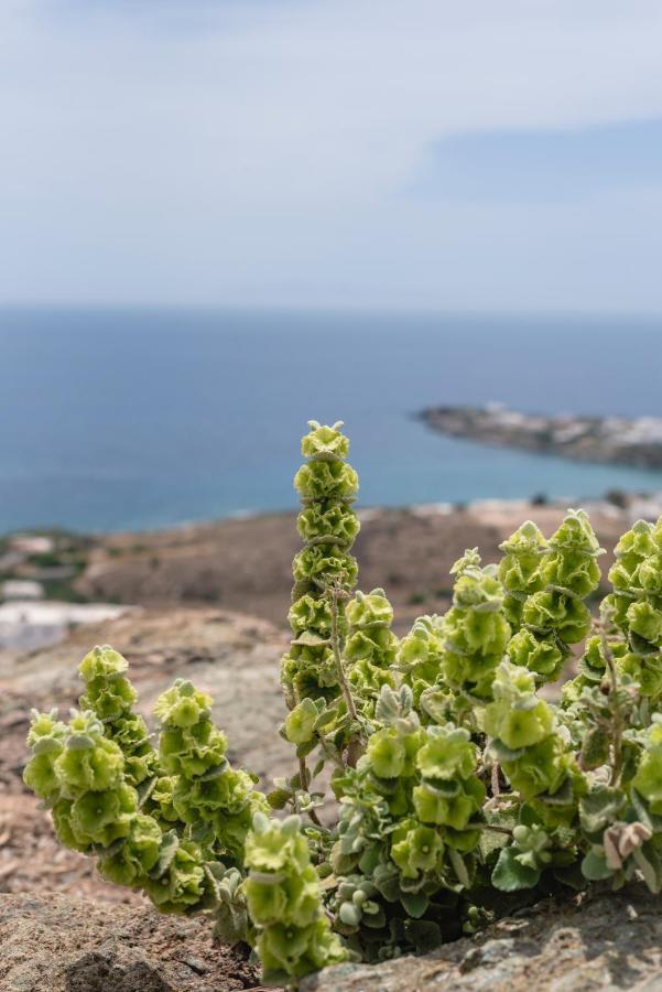 Liaropá Villa Nites المظهر الخارجي الصورة